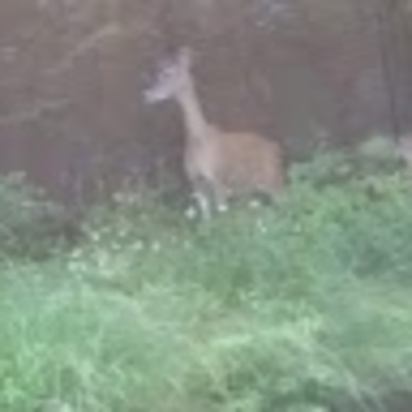 Clothing and toys - Picture 1 of 1